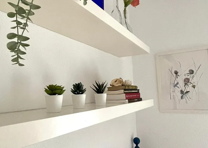 El Vinero, Con Garaje * カディス