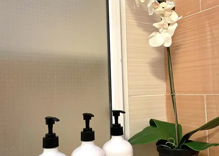 El Vinero, Con Garaje *